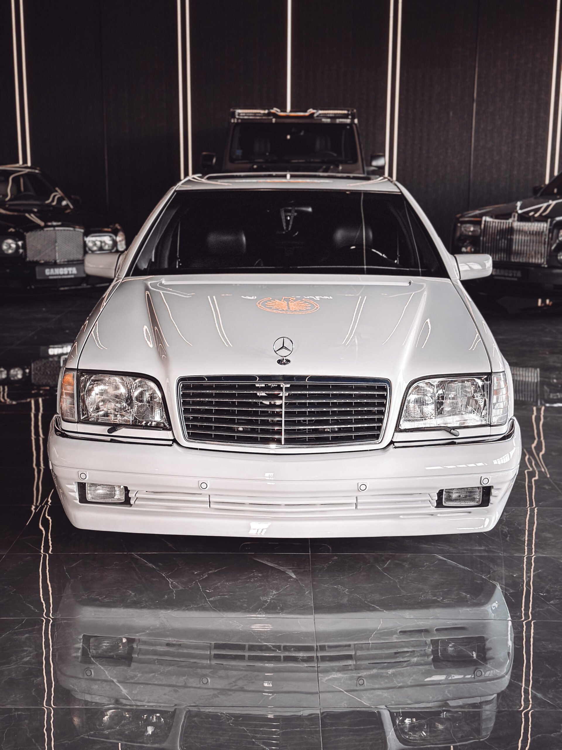 MERCEDES BENZ W140 BRABUS STOSSSTANGE VORNE (2)