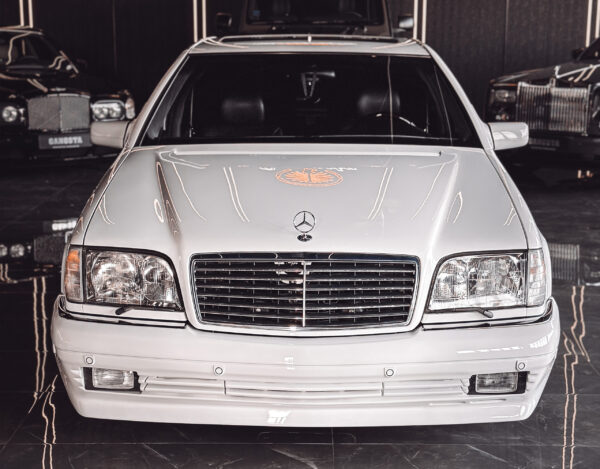 MERCEDES BENZ W140 BRABUS FRONTSTOSSSTANGE KOHLEFASER (1)